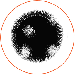 UE Show Home web.jpg