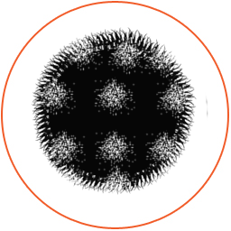 Full colour range.jpg